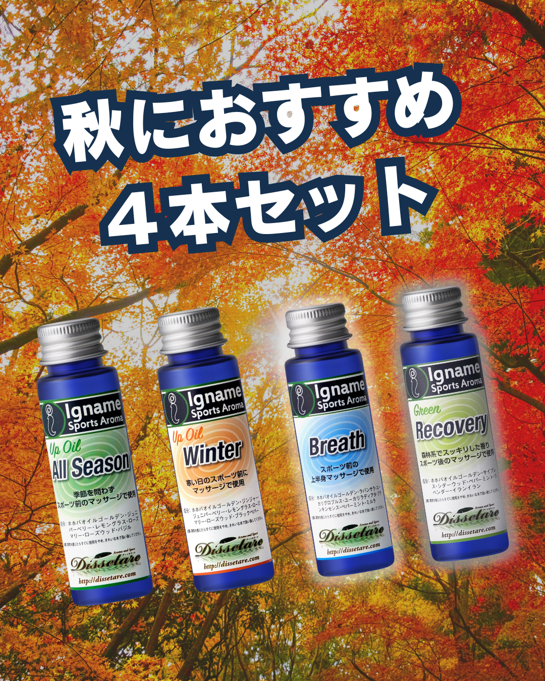 秋におすすめ4本セット