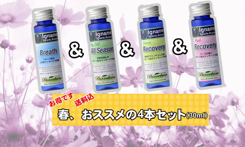 4本セットを春仕様に更新しました